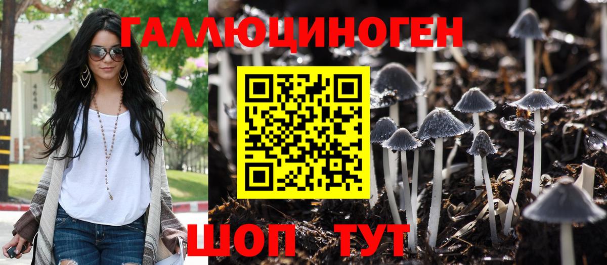 Галлюциногенные грибы мицелий  Вход с VPN  Хасавюрт 