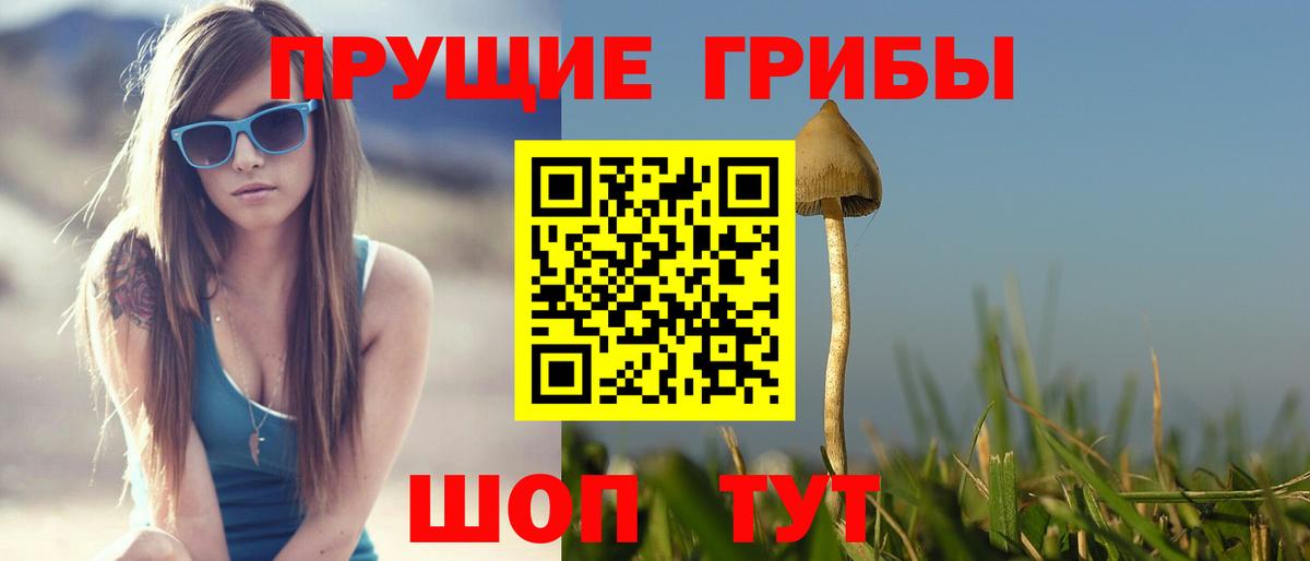 Галлюциногенные грибы мицелий Хасавюрт
